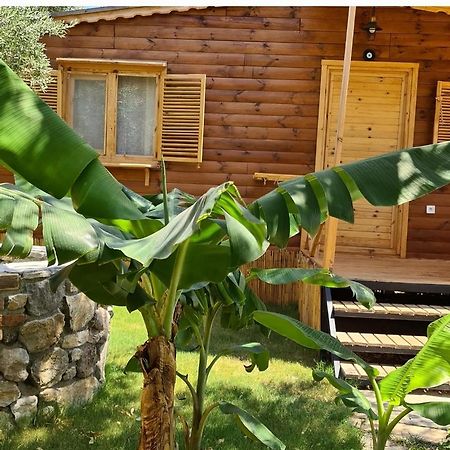 Derin Tas-Bungalow ダッチャ エクステリア 写真