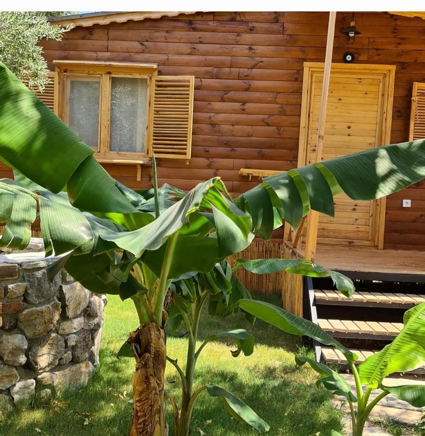 Derin Tas-Bungalow ダッチャ エクステリア 写真